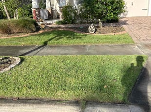 Amy B.'s grass cutting service result