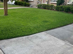 Mitch B.'s lawn service service result