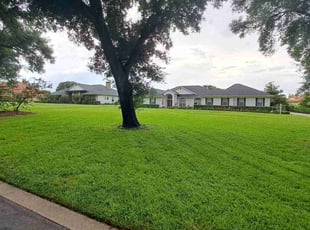 Rebecca B.'s lawn maintenance service result