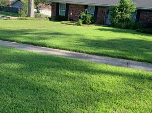 Andrea F.'s grass maintenance service result