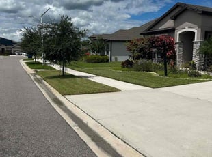 Ray H.'s turf maintenance service result
