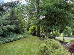 Jennileen J.'s turf maintenance service result