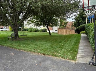 Diana E.'s grass cutting service result