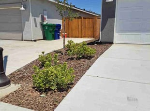 Tracy G.'s lawn care service result