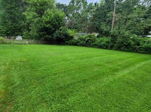 Jim S.'s turf maintenance service result