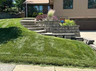 Michelle L.'s turf care service result