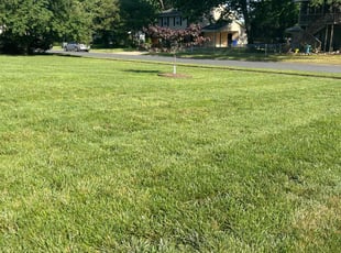 Amy W.'s lawn maintenance service result