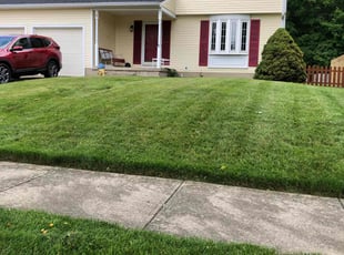 Brandon R.'s grass cutting service result