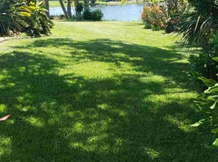 Melanie J.'s turf maintenance service result