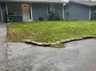 Silva A.'s Leaf Removal service result