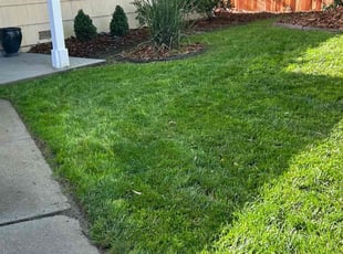 Maria J.'s grass maintenance service result