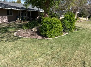 Anna L.'s grass cutting service result