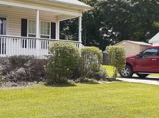 Shannon R.'s Bush Trimming service result