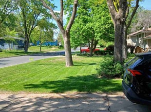 Janet C.'s grass maintenance service result