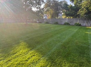Rachael A.'s turf care service result