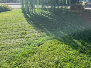 Angie R.'s grass cutting service result