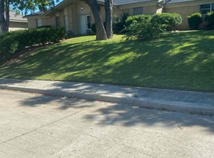 Farhan M.'s lawn care services service result