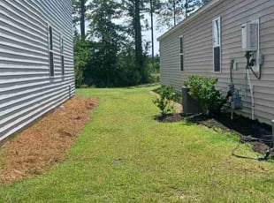 Nora W.'s lawn care service result