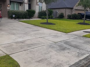 Ricquel P.'s lawn care services service result