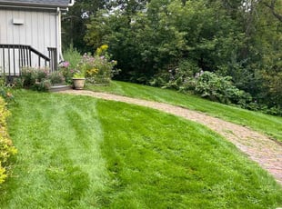 Mandy R.'s grass cutting service result