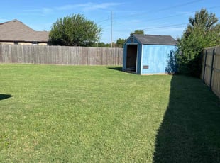 Randy T.'s lawn service service result