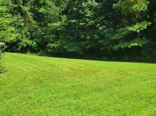 Doreen R.'s grass maintenance service result