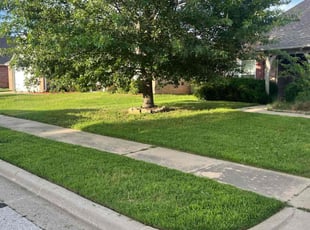 Victoria N.'s lawn maintenance service result