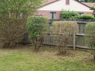 Tori J.'s Bush Trimming service result