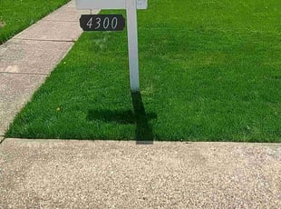 Kate M.'s grass maintenance service result