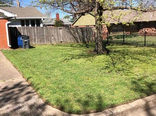 Arkeith G.'s turf care service result