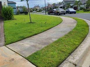 Amy W.'s turf care service result