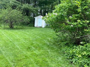 Rebecca W.'s grass maintenance service result