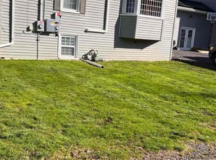 Ronald H.'s turf maintenance service result