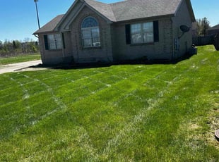 Nina B.'s lawn care service result