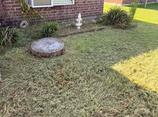 Derrick W.'s Long Grass Cleanup service result