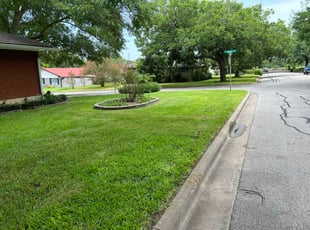 Michael S.'s turf maintenance service result