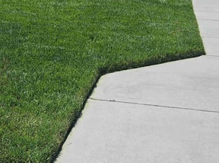 Jasmin W.'s lawn maintenance service result