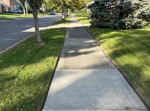 Michael R.'s grass cutting service result