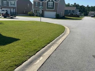 Heather M.'s turf care service result