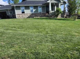 Gail G.'s grass cutting service result