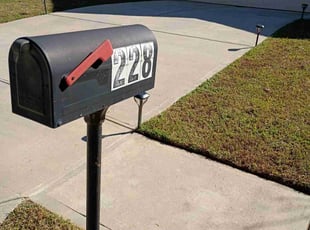 Anthony H.'s grass maintenance service result