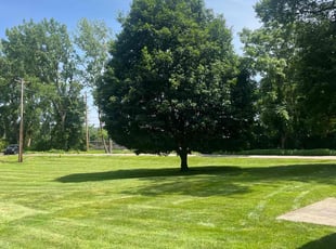 Cody M.'s grass cutting service result