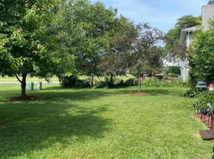 Mandy P.'s turf care service result