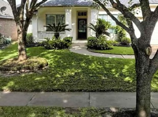 Lisette M.'s lawn care service result