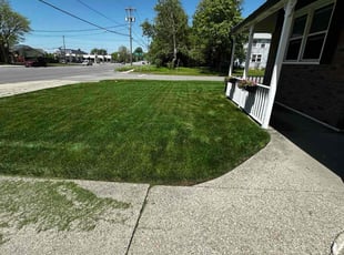 Douglas K.'s lawn service service result
