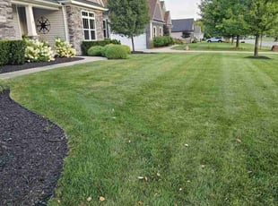 Darlene L.'s lawn care services service result