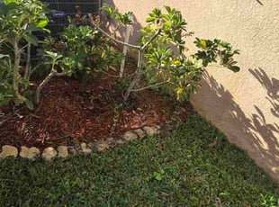 Greg L.'s Custom service service result