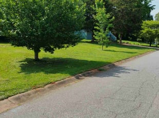 Tricia M.'s grass maintenance service result