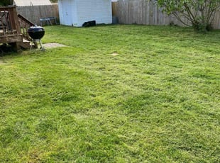 Michael G.'s lawn maintenance service result