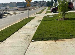 Taylor T.'s lawn care services service result